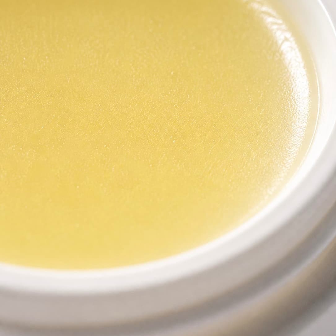 Citrus Kiss Lip Balm - Bambière